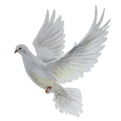 Photo de Dominique SANCHEZ