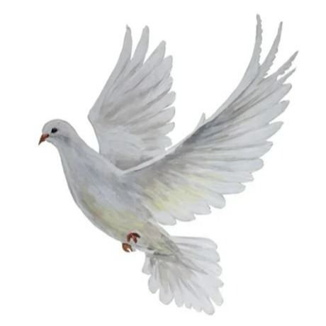 Photo de Monique ZINDERSTEIN